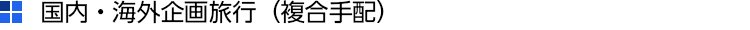 国内・海外企画旅行(複合手配)